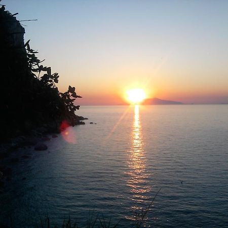 B&B Palazzo A Mare 카프리 외부 사진