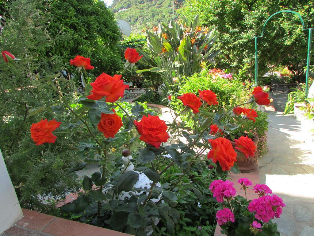 B&B Palazzo A Mare 카프리 외부 사진