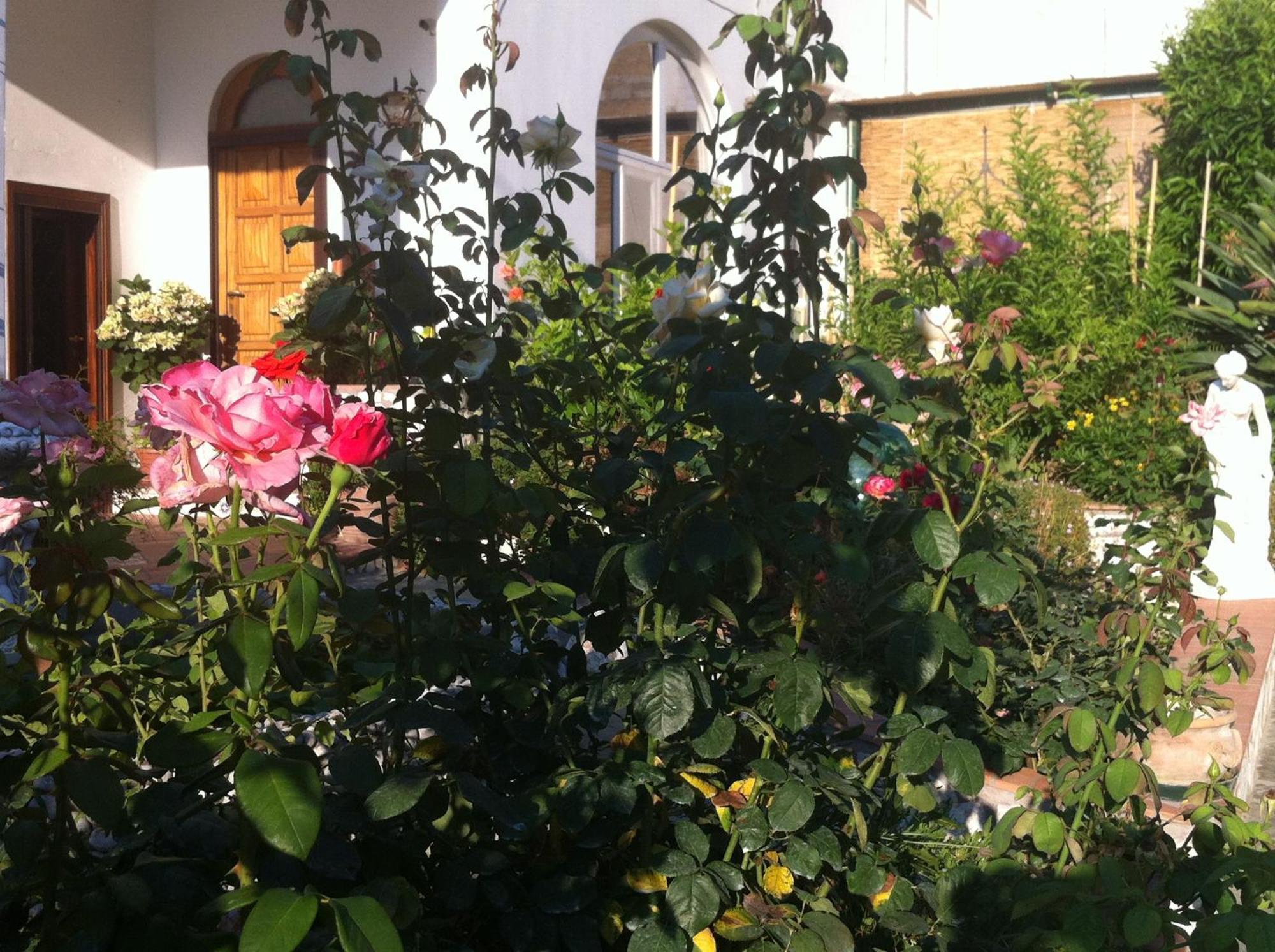 B&B Palazzo A Mare 카프리 외부 사진